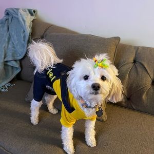 Meet your Posher, Sylvana